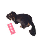 我が家の愛犬ポテトちゃん（個別スタンプ：3）