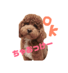 ちゃお2（個別スタンプ：1）