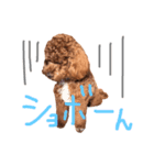 ちゃお2（個別スタンプ：2）