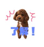 ちゃお2（個別スタンプ：3）