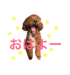 ちゃお2（個別スタンプ：5）