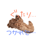 ちゃお2（個別スタンプ：7）