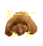 チータラさーん。2（個別スタンプ：3）