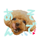 チータラさーん。2（個別スタンプ：6）