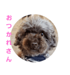 かいちょ一の日常（個別スタンプ：1）