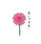 シンプルな一輪の花の丁寧語スタンプその2（個別スタンプ：4）