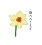 シンプルな一輪の花の丁寧語スタンプその2（個別スタンプ：6）