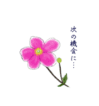 シンプルな一輪の花の丁寧語スタンプその2（個別スタンプ：13）