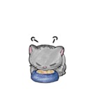 うるうるチビ猫（個別スタンプ：6）