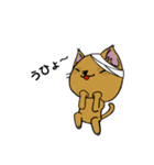 勇者を目指す猫と仲間たち。飯屋 医者 他（個別スタンプ：15）