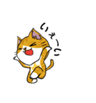 勇者を目指す猫と仲間たち。飯屋 医者 他（個別スタンプ：24）
