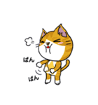 勇者を目指す猫と仲間たち。飯屋 医者 他（個別スタンプ：25）