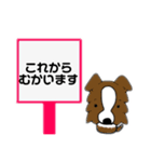 ボーダーさん〜日常会話〜（個別スタンプ：11）