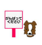 ボーダーさん〜日常会話〜（個別スタンプ：16）