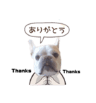 フレブル☆福たんですけど？感激ver（個別スタンプ：8）