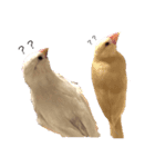 可愛い文鳥とフクロモモンガ達（個別スタンプ：2）