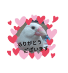 大吉ちゃん～スタンプ～（個別スタンプ：1）