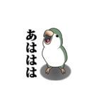 オキナインコ（個別スタンプ：1）