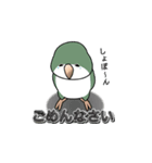 オキナインコ（個別スタンプ：5）