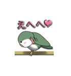 オキナインコ（個別スタンプ：8）