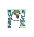 オキナインコ（個別スタンプ：9）