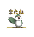 オキナインコ（個別スタンプ：10）