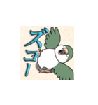 オキナインコ（個別スタンプ：11）