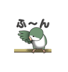 オキナインコ（個別スタンプ：12）