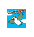 オキナインコ（個別スタンプ：13）