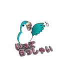 オキナインコ（個別スタンプ：14）