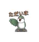 オキナインコ（個別スタンプ：15）
