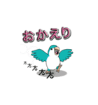 オキナインコ（個別スタンプ：16）