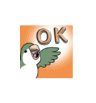オキナインコ（個別スタンプ：25）