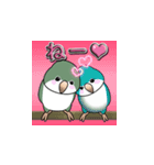 オキナインコ（個別スタンプ：29）