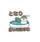 オキナインコ（個別スタンプ：31）