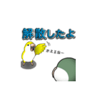 オキナインコ（個別スタンプ：34）