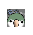 オキナインコ（個別スタンプ：35）
