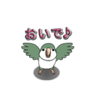 オキナインコ（個別スタンプ：38）