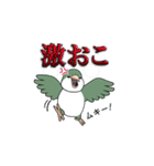 オキナインコ（個別スタンプ：40）