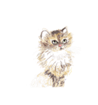 OMG我が家のにゃんこ（個別スタンプ：1）