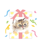 OMG我が家のにゃんこ（個別スタンプ：3）