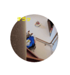 ましろくんからのスタンプ（個別スタンプ：2）