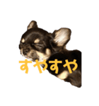 がんこ、おいも、おまめ（個別スタンプ：8）