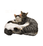 むぎとゆき（個別スタンプ：8）