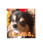 DJ KING のスタンプ（個別スタンプ：1）