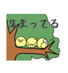 ひよこなので（個別スタンプ：19）