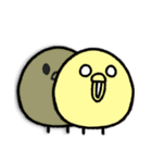 ひよこなので（個別スタンプ：36）