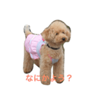 かのん.s（個別スタンプ：2）