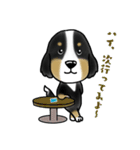 Bernese Mountain Dog Big Face Sticker！3（個別スタンプ：2）