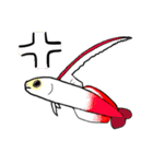 Scuba！おさかなスタンプ！マクロ 海水魚（個別スタンプ：12）